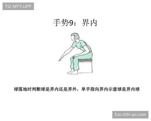 球压规则的关键细节拆解，裁判如何判罚界定争议点？